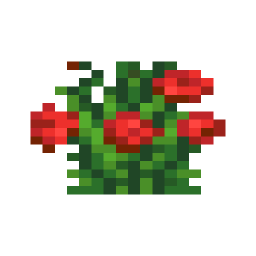 Rose Bush
