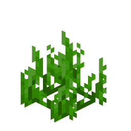 Seagrass