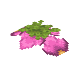 Spore Blossom
