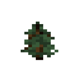 Spruce Sapling