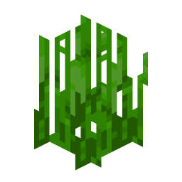 Tall Seagrass