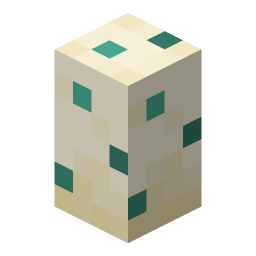 Turtle Egg