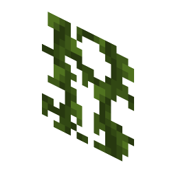 Vines