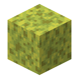 Wet Sponge