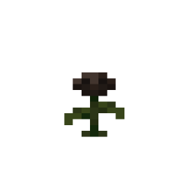 Wither Rose