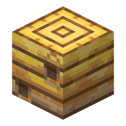 Bee Nest