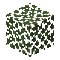 Birch Leaves