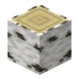 Birch Log