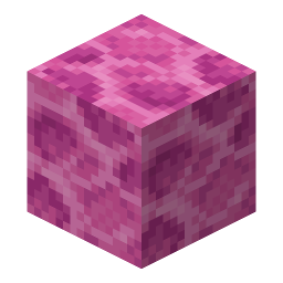 Brain Coral Block