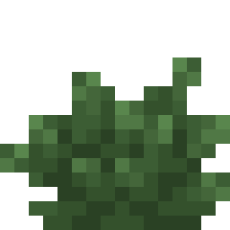 Bush