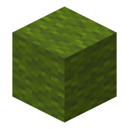 Green Wool