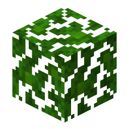 Jungle Leaves