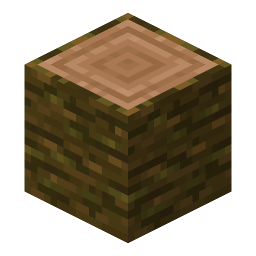 Jungle Log