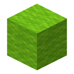 Lime Wool