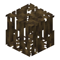 Mangrove Roots
