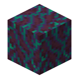 Warped Hyphae
