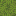 block/azalea_top texture