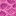 block/brain_coral_block texture