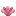 block/cactus_flower texture