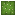 block/cactus_top texture