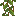 block/cave_vines_plant texture
