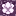 block/chorus_flower texture