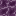block/chorus_plant texture