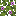 block/flowering_azalea_leaves texture
