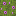 block/flowering_azalea_top texture