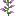 block/lilac_bottom texture