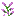 block/lilac_top texture