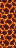 block/magma texture