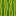 block/melon_side texture