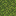 block/moss_block texture