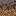 block/mycelium_side texture