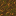 block/podzol_top texture