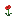 block/poppy texture
