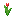 block/red_tulip texture