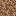 block/rooted_dirt texture