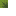 block/small_dripleaf_top texture