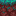 block/warped_nylium_side texture