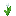 block/white_tulip texture
